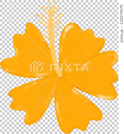 yellow flowers on a yellow background 120074070