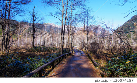 晩秋の長野県松本市上高地の紅葉と若干冠雪した奥穂高 120074187