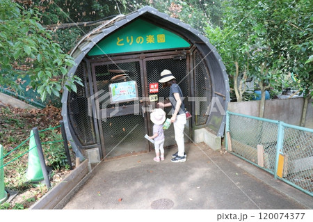 大牟田市動物園 クジャク 大牟田市動物園 クジャク 120074377