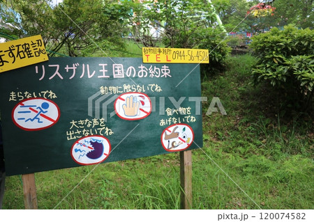 大牟田市動物園、ナマケモノ 120074582