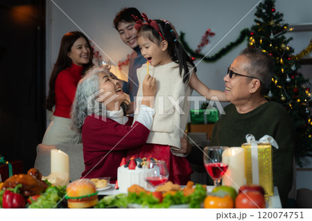 Dinner and Family holiday celebrating, together at Merry Christmas and  New Year. 120074751