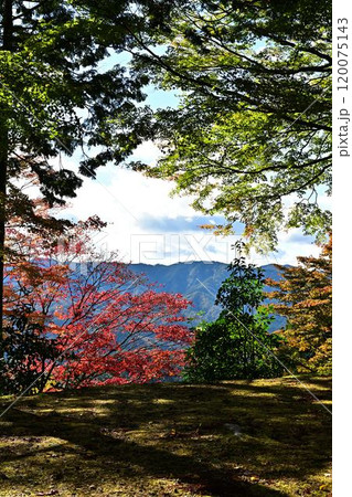 秋の光明寺 120075143