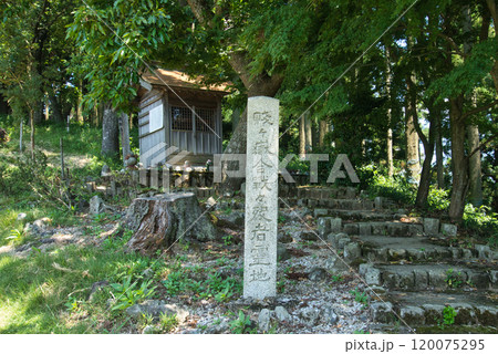 賎ヶ岳古戦場 賎ヶ岳古戦場 120075295