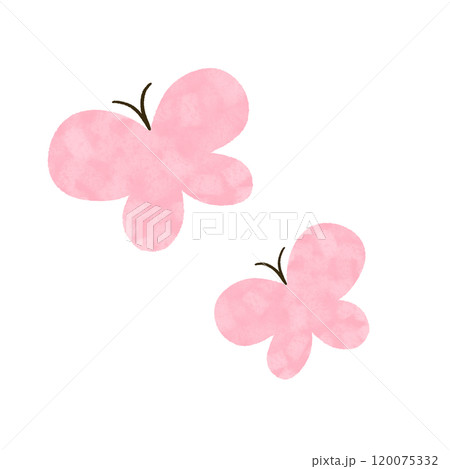 手描き　2頭のピンクのちょうちょのイラスト 120075332