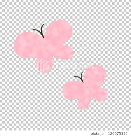 手描き　2頭のピンクのちょうちょのイラスト 120075332