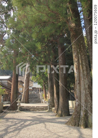 四国霊場第12番札所「焼山寺」境内 120075609