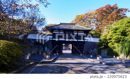 小諸市の懐古園の紅葉 小諸市の懐古園の紅葉 120075623