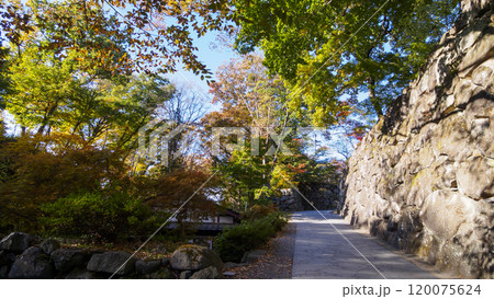 小諸市の懐古園の紅葉 小諸市の懐古園の紅葉 120075624