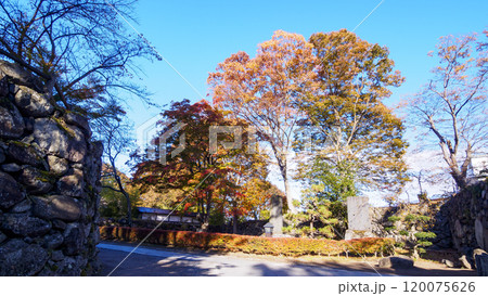 小諸市の懐古園の紅葉 120075626