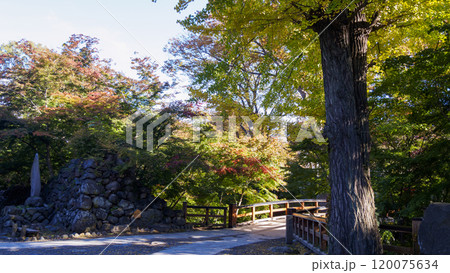 小諸市の懐古園の紅葉 小諸市の懐古園の紅葉 120075634