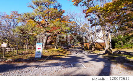 小諸市の懐古園の紅葉 120075635