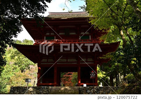秋の光明寺二王門 秋の光明寺二王門 120075722