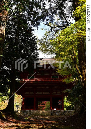 秋の光明寺二王門 秋の光明寺二王門 120075723