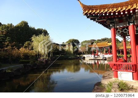 神奈川県川崎市 大師公園内の中国庭園・瀋秀園 神奈川県川崎市 大師公園内の中国庭園・瀋秀園 120075964