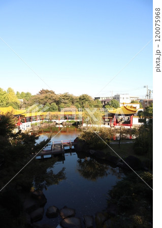 神奈川県川崎市 大師公園内の中国庭園・瀋秀園 神奈川県川崎市 大師公園内の中国庭園・瀋秀園 120075968