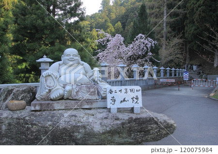 四国霊場第12番札所「焼山寺」境内へと続く道 120075984