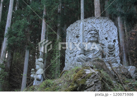 四国霊場第12番札所「焼山寺」境内へと続く道 120075986