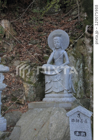 四国霊場第12番札所「焼山寺」境内へと続く道 120075988