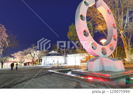 十和田官庁街の夜桜(青森県十和田市) 十和田官庁街の夜桜(青森県十和田市) 120075999