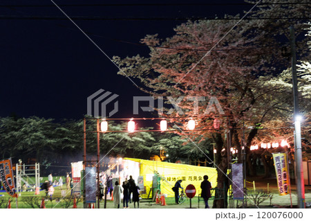 十和田官庁街の夜桜(青森県十和田市) 十和田官庁街の夜桜(青森県十和田市) 120076000