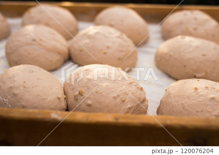 yeast dough in the form of loaves waiting to be cooked yeast dough in the form of loaves waiting to be cooked 120076204