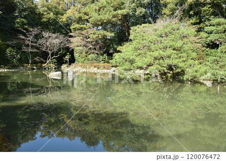 平安神宮庭園 中神苑 蒼龍池 平安神宮庭園 中神苑 蒼龍池 120076472