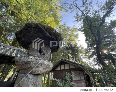 平泉寺白山神社 白山平泉寺の常夜灯 平泉寺白山神社 白山平泉寺の常夜灯 120076812
