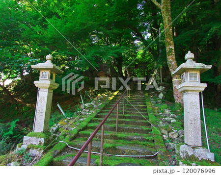夏の若狭熊川宿の白石神社の獣燈 夏の若狭熊川宿の白石神社の獣燈 120076996