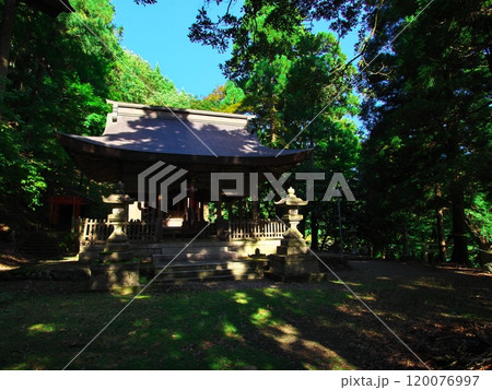 夏の若狭熊川宿の白石神社 夏の若狭熊川宿の白石神社 120076997