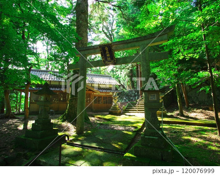 夏の若狭熊川宿の白石神社の鳥居 夏の若狭熊川宿の白石神社の鳥居 120076999