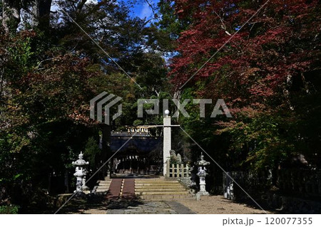 秋の兵主神社 120077355