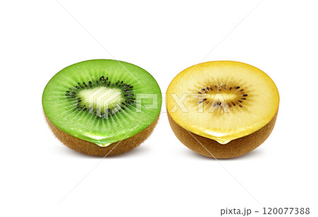 キウイフルーツのイラスト ゴールドキウイ 120077388