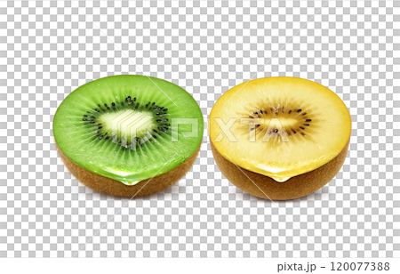キウイフルーツのイラスト ゴールドキウイ 120077388