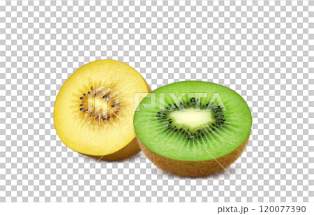 Kiwi fruit illustration Gold kiwi 120077390