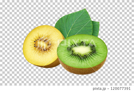 獼猴桃水果插畫金獼猴桃 120077391