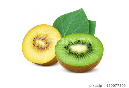 キウイフルーツのイラスト ゴールドキウイ 120077392