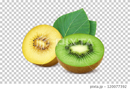 獼猴桃水果插畫金獼猴桃 120077392
