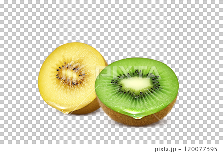 獼猴桃水果插畫金獼猴桃 120077395