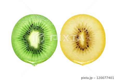 キウイフルーツのイラスト ゴールドキウイ キウイフルーツのイラスト ゴールドキウイ 120077401