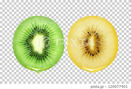 キウイフルーツのイラスト ゴールドキウイ キウイフルーツのイラスト ゴールドキウイ 120077401