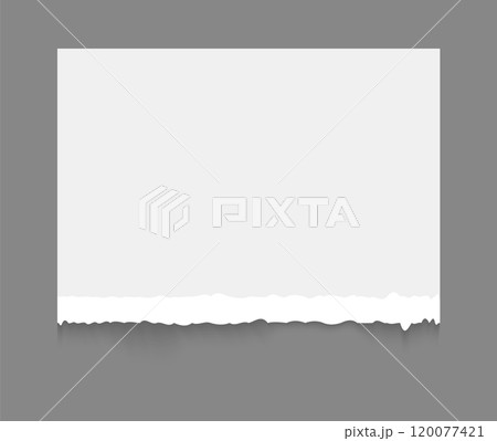 White torn or ripped paper sheet. Scrapbook edge, notebook tear or blank page split vector illustration. White torn or ripped paper sheet. Scrapbook edge, notebook tear or blank page split vector illustration. 120077421