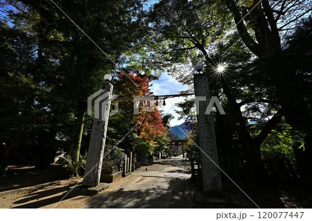秋の兵主神社 秋の兵主神社 120077447