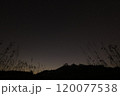 2024年砥峰高原　夜空 120077538