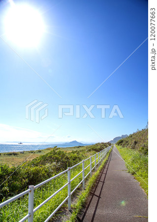 太平洋岸自転車道(愛知県田原市) 太平洋岸自転車道(愛知県田原市) 120077663