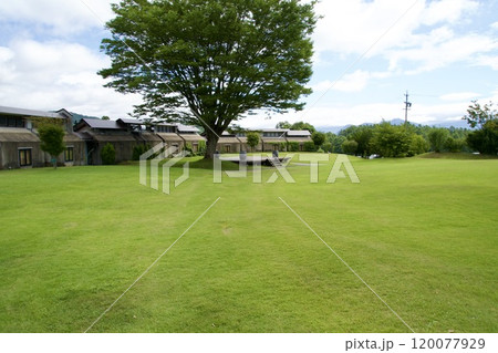 美しい芝生広場の風景 120077929