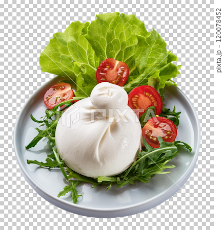 Bowl of burrata cheese salad including lettuce and tomatoes 120078452
