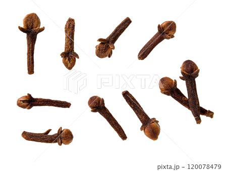 Set of whole organic clove buds cutout. 120078479