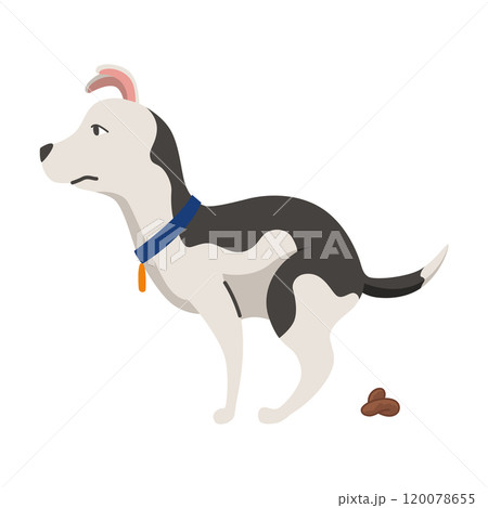 Dog poo clean up, one step infographic. Vector poster about hygiene animal, toilet cleaning information after your dog, one step Dog poo clean up, one step infographic. Vector poster about hygiene animal, toilet cleaning information after your dog, one step 120078655