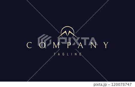 Vector golden logo with an abstract image of a flying bird against the backdrop of the sun. 120078747