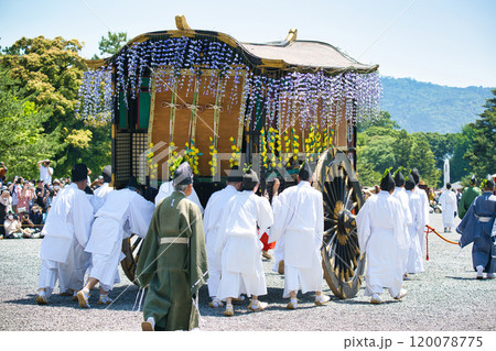 葵祭2023 120078775